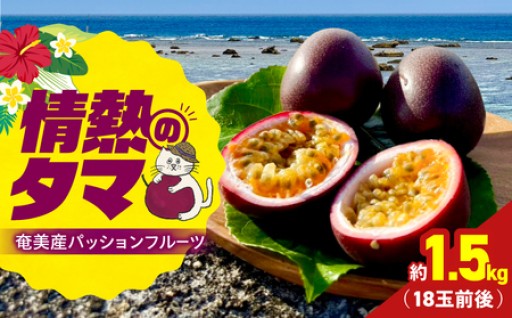 【2026年先行予約】【情熱のタマ😺】奄美産パッションフルーツ☀️ 1.5kg（18玉前後）