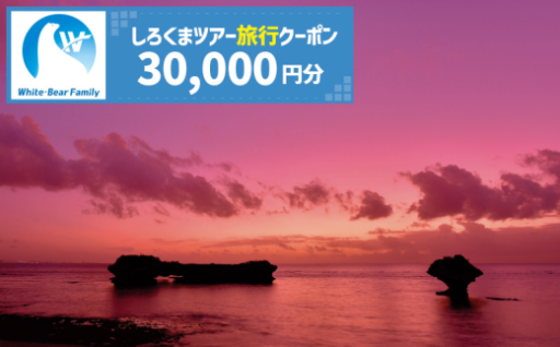 【読谷村】しろくまツアーで利用可能なWEB旅行クーポン (3万円分) 