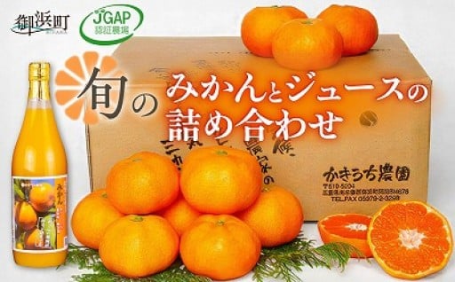 【旬のみかん🍊をお届け🚚】かきうち農園のみかんとジュースの詰め合わせ