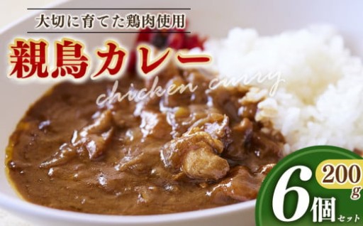 親鳥カレー 6個 セット 選べる 内容量