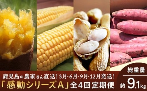 一度の寄付で4回届く♪今年は定期便で決まり☆鹿児島の農家の『感動シリーズ』をお試しください。