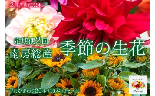 南房総産季節の生花2回定期便
