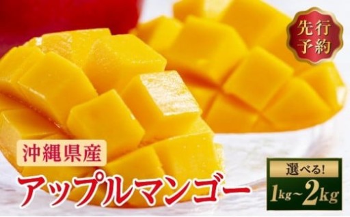 沖縄県産『アップルマンゴー』