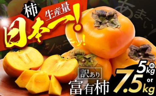 シャキッと甘い！ 訳あり 富有柿 選べる 内容量 約 5kg / 7.5kg