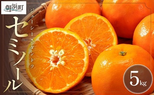 【ジューシーさ🍊💦ダントツ‼️】ミカファームのセミノール5キロ