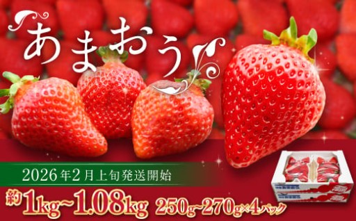 博多あまおう（春） 約250g～270g×4パック 計約1kg～1.08kg