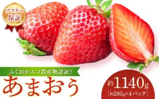 【先行予約 2026年1月以降発送】ふくおかエコ農産物認証!! あまおう 約1140g 約285g×4パック