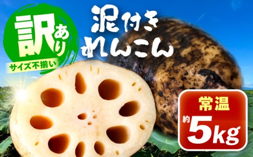 「訳あり」でも鮮度そのまま！味は一級品！