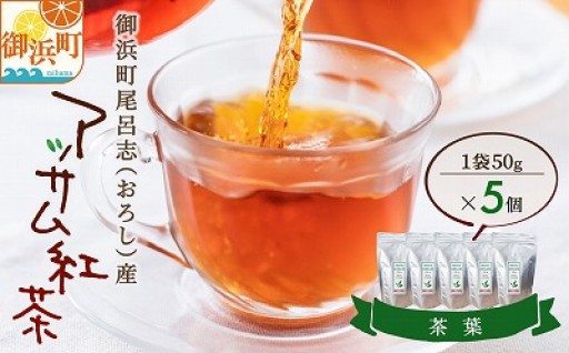 【あっさり飲みやすい🌿🫖】アッサムTea21のアッサム紅茶（茶葉）