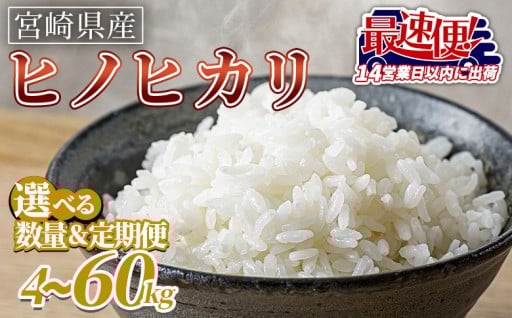  【選べる】＜宮崎県産米 ヒノヒカリ＞