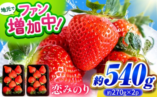【先行予約】こば農園のこだわりいちご　恋みのり 約540g（約270g：6~11粒×2パック）