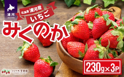 【旬のいちごはいかが？🍓✨】