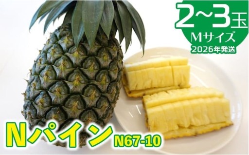 2026年発送【羽地の駅】Nパイン(N67-10)2～3玉（Mサイズ）2.5kg以上