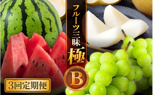 【厳選】最高品質✨フルーツ三昧🍇🍉極シリーズ✨