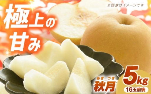 【先行予約】芳醇な香りと溢れる果汁！「あきづき」