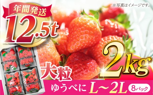大粒いちご L～2L ゆうべに 2kg（8pc）