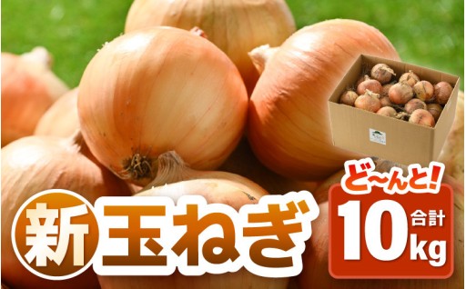 【有機肥料🌿】甘くて柔らかい✨自慢の味を是非！🧅