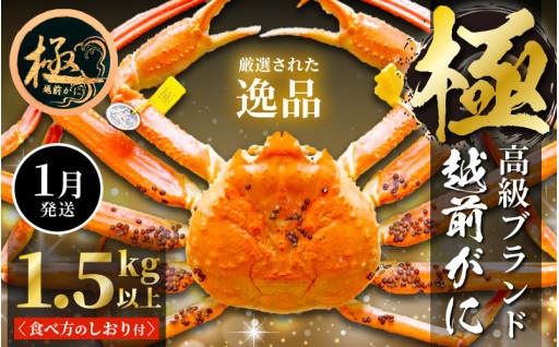 【訳あり】驚きの極サイズ✨厳選された高品質🦀