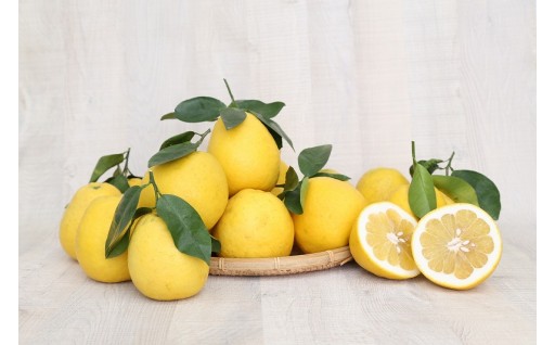 2026年🏇午年🏇✨