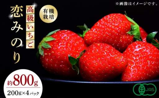 高級 いちご 恋みのり約800g（200g×4pc）