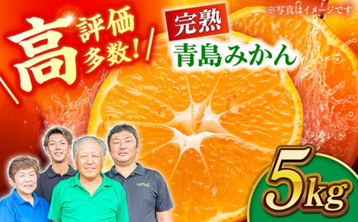 完熟 青島 みかん 約5kg