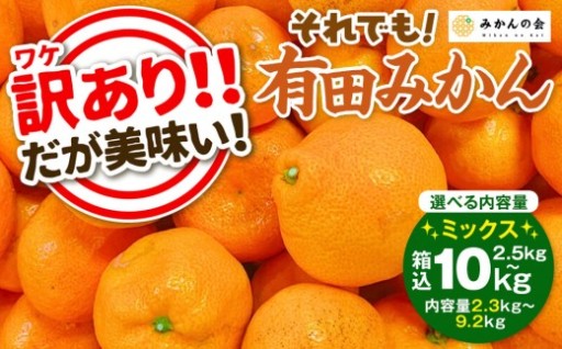 訳あり それでも 有田みかん 箱込 2.5kg～10kg