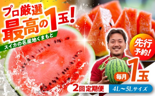 【先行予約】 【2回定期便】 大玉スイカ！4L～5Lサイズ（1玉 約9kg～11kg）
