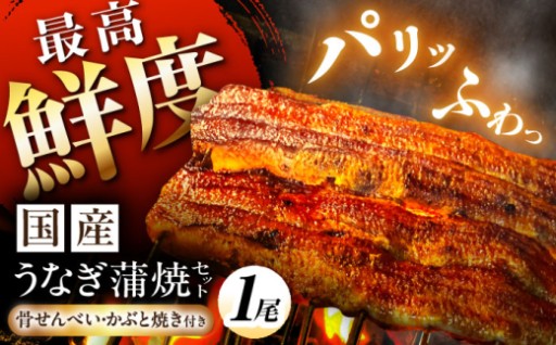 【タレ・希少部位付き】国産うなぎの蒲焼 1尾