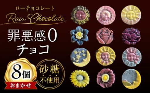 健康志向の方にぴったり！栄養たっぷりローチョコレート8個入り