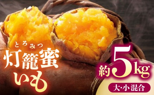 ブランド さつまいも「灯籠蜜いも とろみついも」約5kg