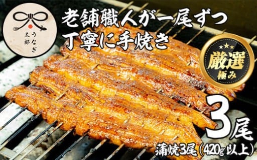 鹿児島県産東串良町のうなぎの蒲焼(3尾・計420g以上・秘伝のタレ付き)