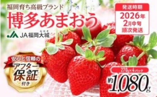 【アフター保証】福岡限定生産のブランドいちご『あまおう』