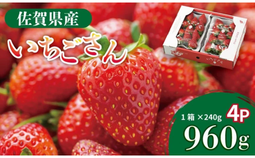 佐賀県産 いちごさん （ 240g×4P ）