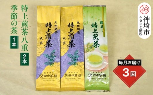 【3回定期便】九州の茶葉をお楽しみください🍵