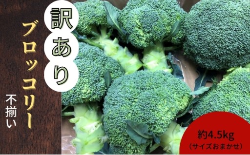 訳ありブロッコリー約4.5kg（サイズおまかせ）