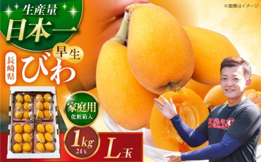 【先行予約】滴る果汁と上品な甘み！ハウスびわ