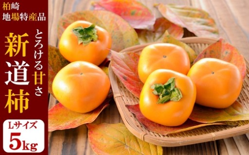 【再開】とろける甘みの新道柿 5kg