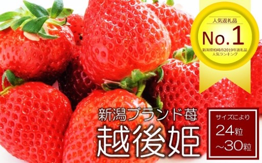 甘くてジューシー！越後姫 24～30粒 