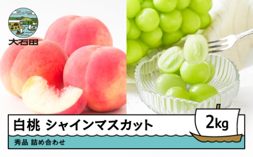 【先行予約】令和8年産のフルーツの受付を開始しております