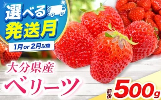 ベリーツ 250g前後 × 2パック 選べる 発送時期 1月 / 2月以降