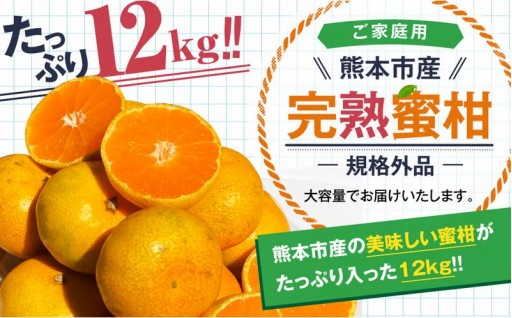 【規格外品】熊本市産 完熟 蜜柑 ご家庭用 12kg