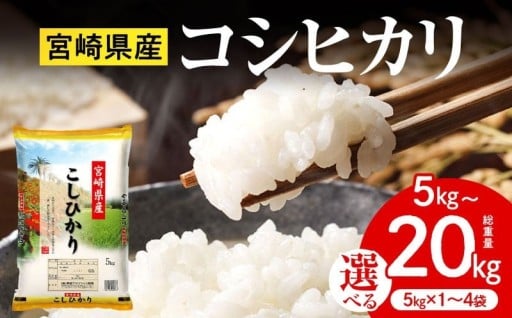 【宮崎県宮崎市】《令和7年産》宮崎県産コシヒカリ