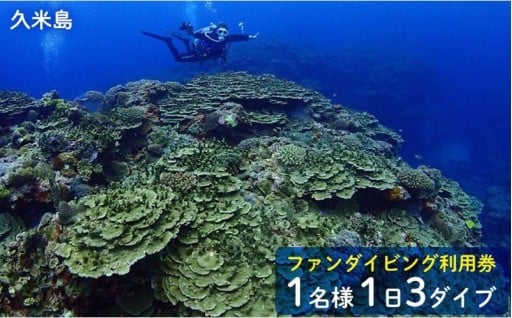 久米島ファンダイビング利用券1名様