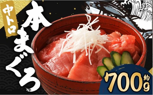 長崎県産 本マグロ「中トロ」約700g