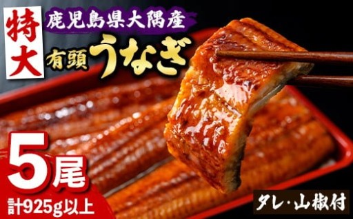 特大うなぎ蒲焼(有頭)(5尾・タレ、山椒付)