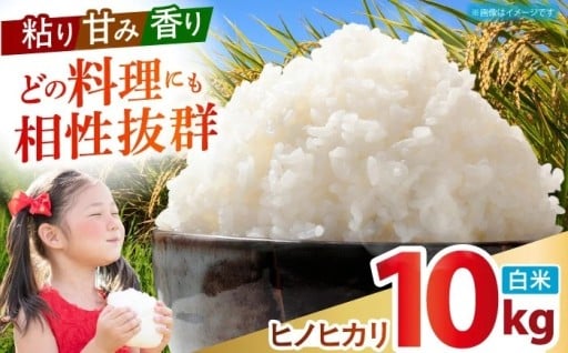 ブランド米 ヒノヒカリ（白米）10kg