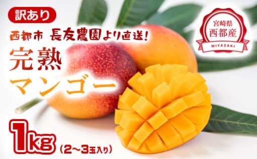 【長友農園】訳あり家庭用完熟マンゴー1kg 2～3玉