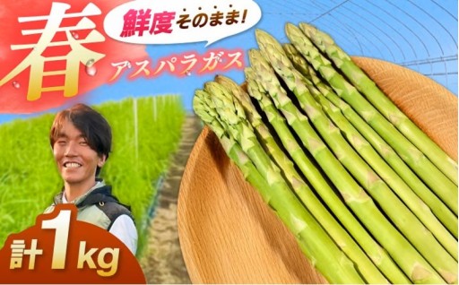 春の味覚を先行予約！雲南市産 アスパラガス