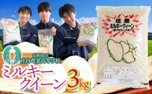 【令和7年産】 山形県立庄内農業高等学校の生徒が栽培したミルキークイーン 精米3kg