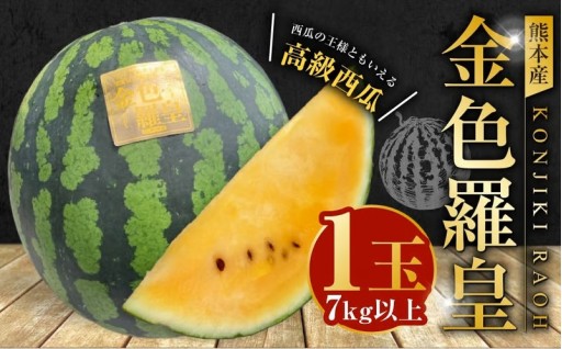 熊本産 金色羅皇 1玉 7キロ以上【2026年5月下旬～6月下旬迄順次発送予定】